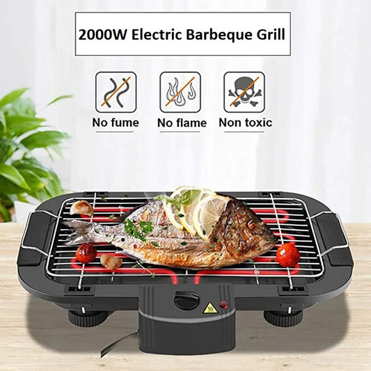 Electric BBQ Grill